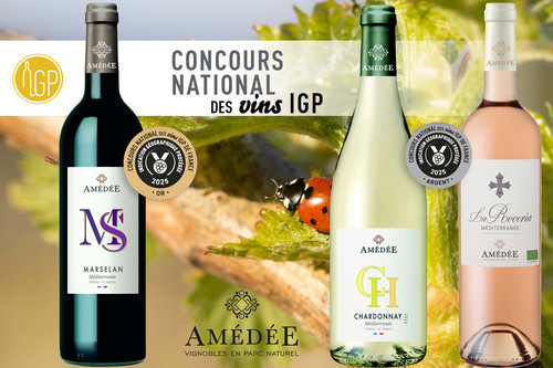 Concours National des Vins IGP 2025